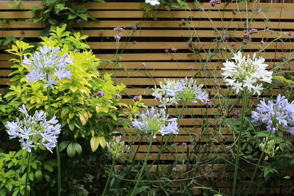 Shoreditch 1 With Garden London Room photo